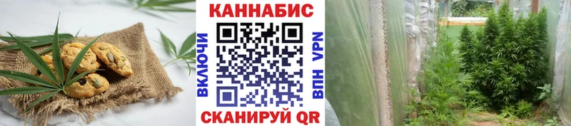 Купить  Динская  Cannafood конопля 