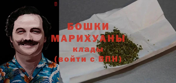 ПСИЛОЦИБИНОВЫЕ ГРИБЫ Елабуга