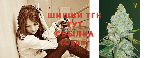 ПСИЛОЦИБИНОВЫЕ ГРИБЫ Елабуга