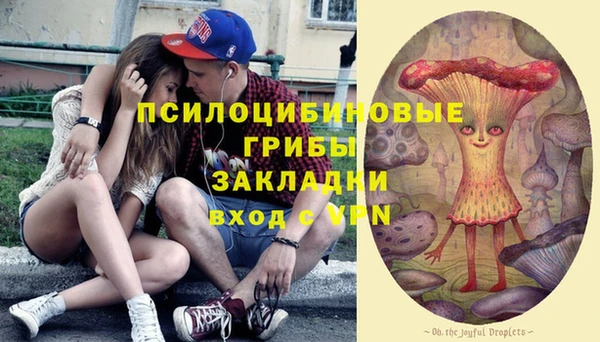 спиды Елизово