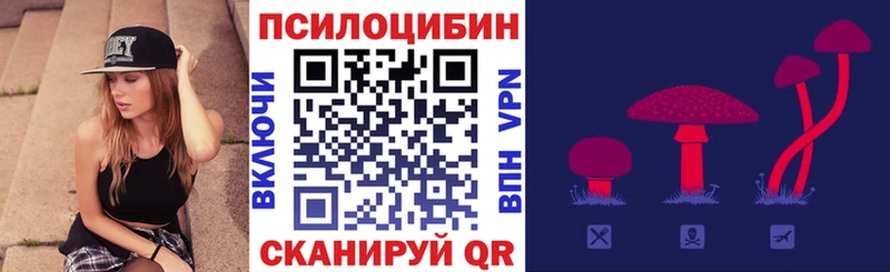 Купить где  Динская  Галлюциногенные грибы Psilocybe 